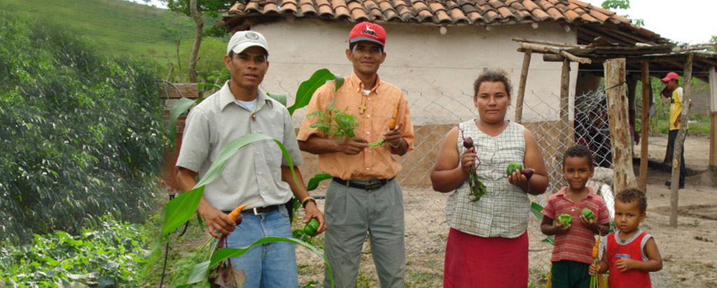 Gardens for the impoverished in rural Honduras